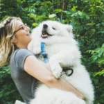 Happy pet in a safe and clean environment